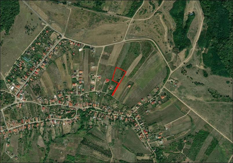 Teren intravilan - Saldabagiu de munte - 5000 mp. - IMOBIHOR - 4