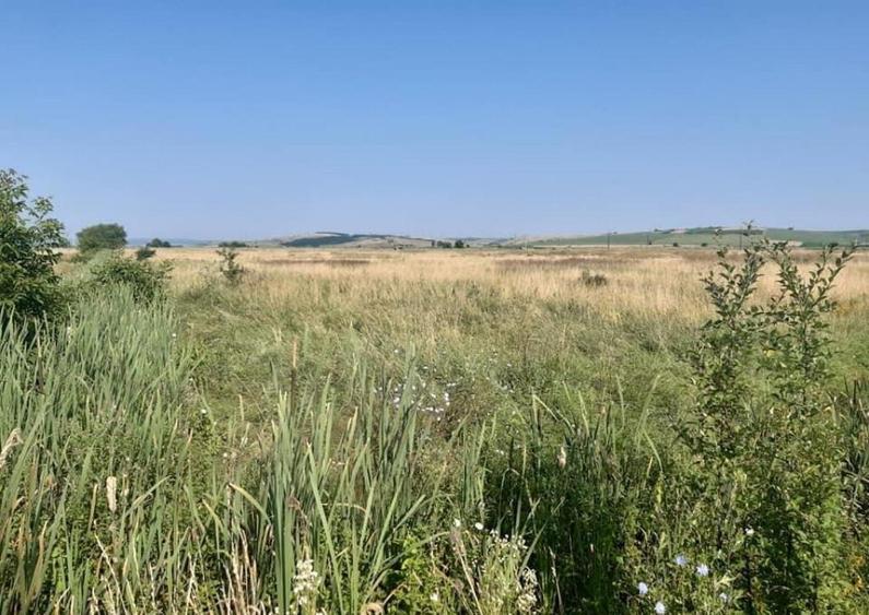 Teren Intravilan DN 14 intre Sibiu si Sura Mare la sosea - 4