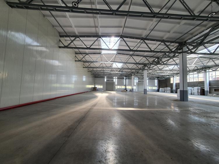 Hlala 4800 mp, 4,50 e/mp - 1