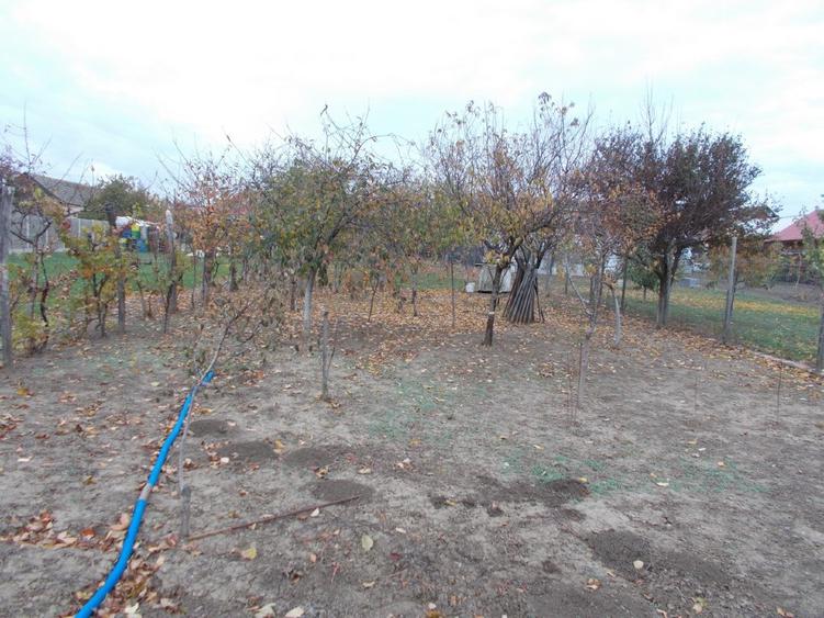 Casa cu spatiu comercial, Giarmata, 128mp util, teren 1670mp, com=0% - 2