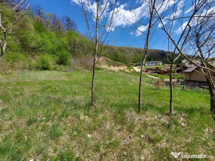 Casa spa?ioasa cu 6 camere ?i teren generos, langa pad - 15