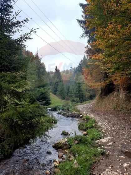 Teren agricol extravilan de 38704 mp, în Șirnea