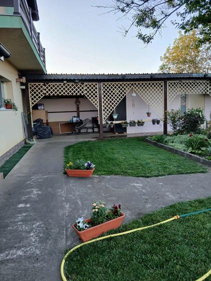 Casă cu Teren 1000 Mp în Peciu Nou
