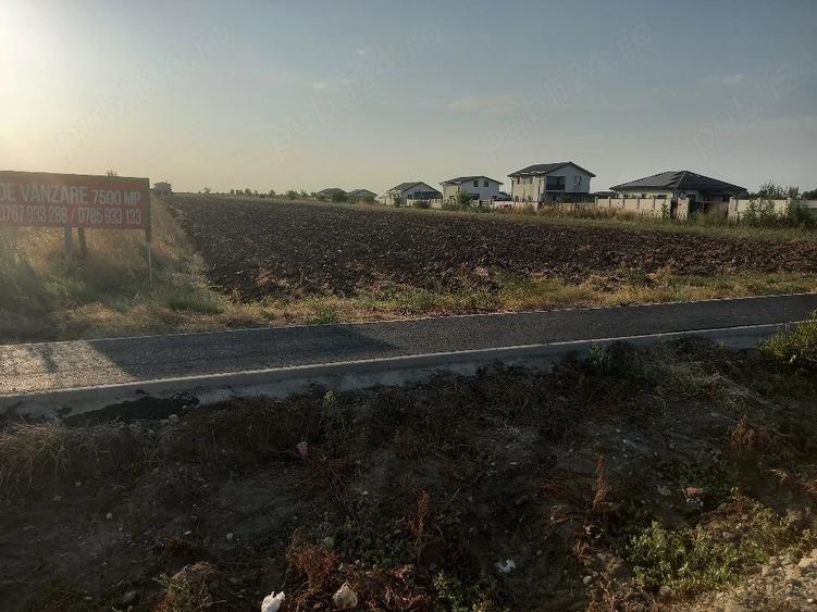 Teren de 7500 mp, în Adunații-Copăceni