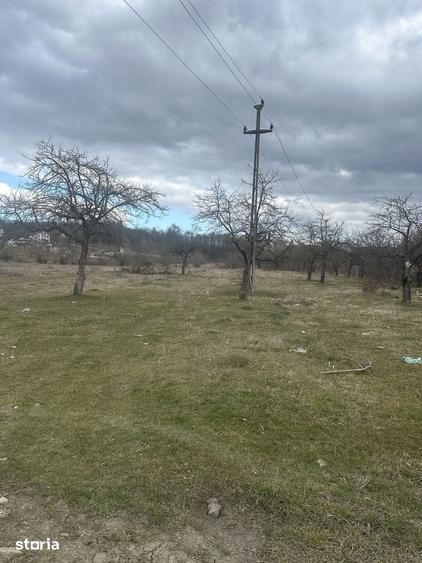 Teren de 4400 mp, în Voila