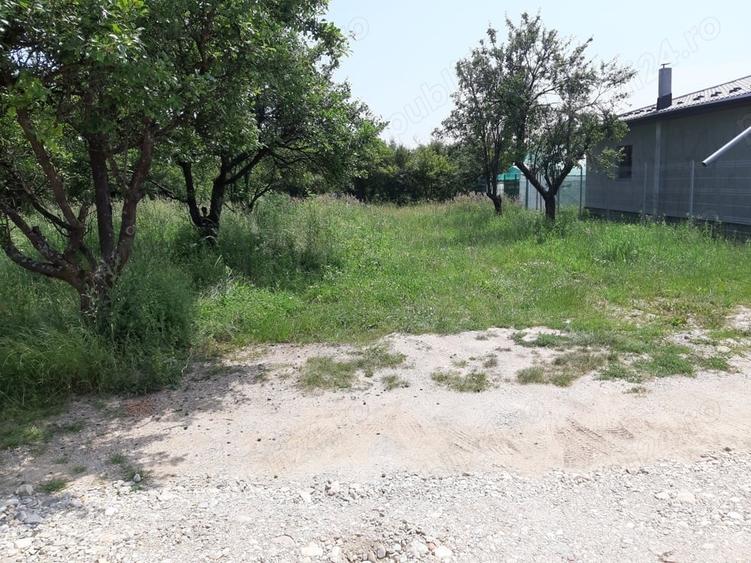 Teren de 500 mp, în Vedea