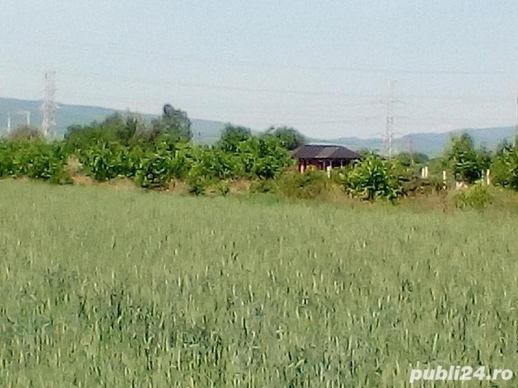 Teren de 980 mp, în Central