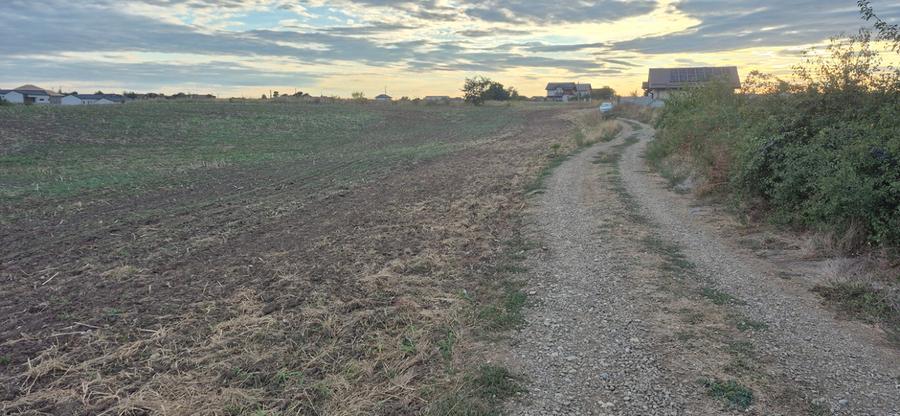 Teren Construcții intravilan de 850 mp, în Balotești