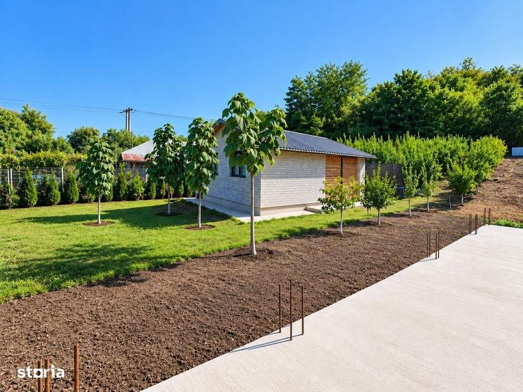 Casă cu 2 camere în Odaia Manolache