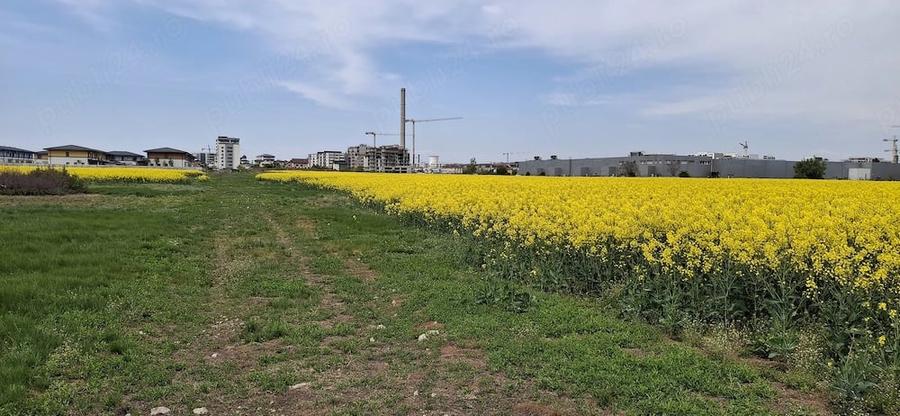 Teren de 5000 mp, în Central