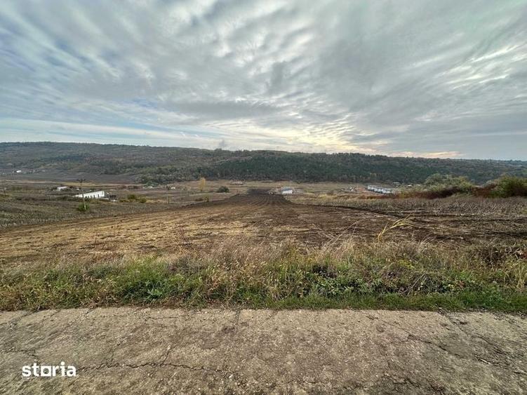 Teren de 600 mp, în Central