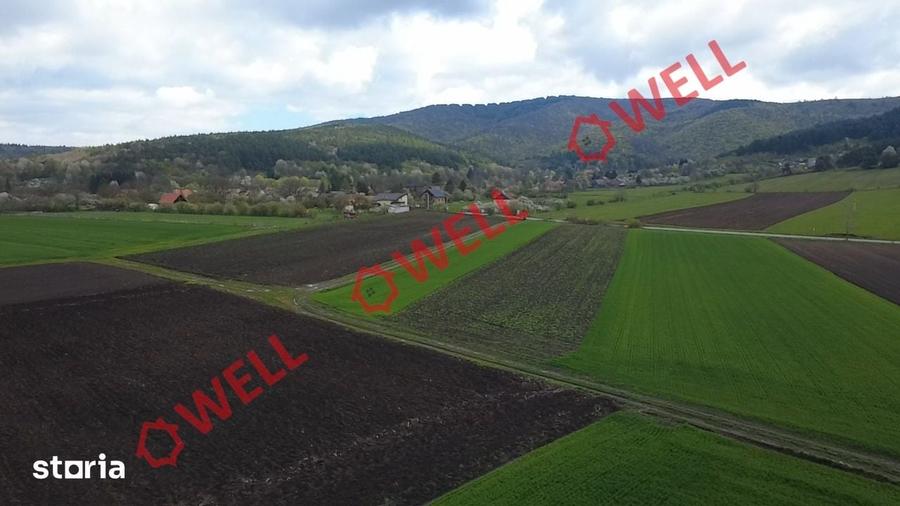 Teren de 5000 mp, în Ozun