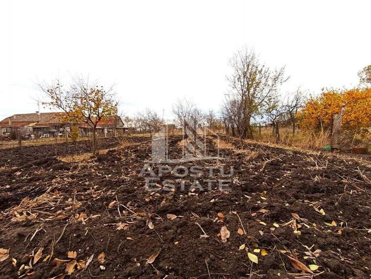 Casă cu 4 camere cu Teren 996 Mp în Dudeștii Noi