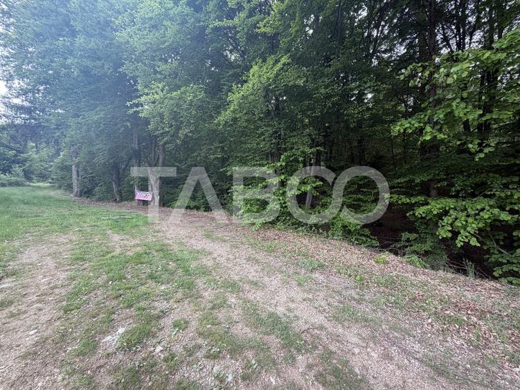 Teren Construcții intravilan de 1000 mp, în Drăguș