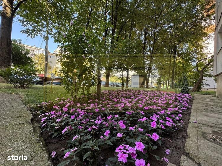 Apartament 2 camere decomandat Tatarasi - Blv V. Lupu - 8