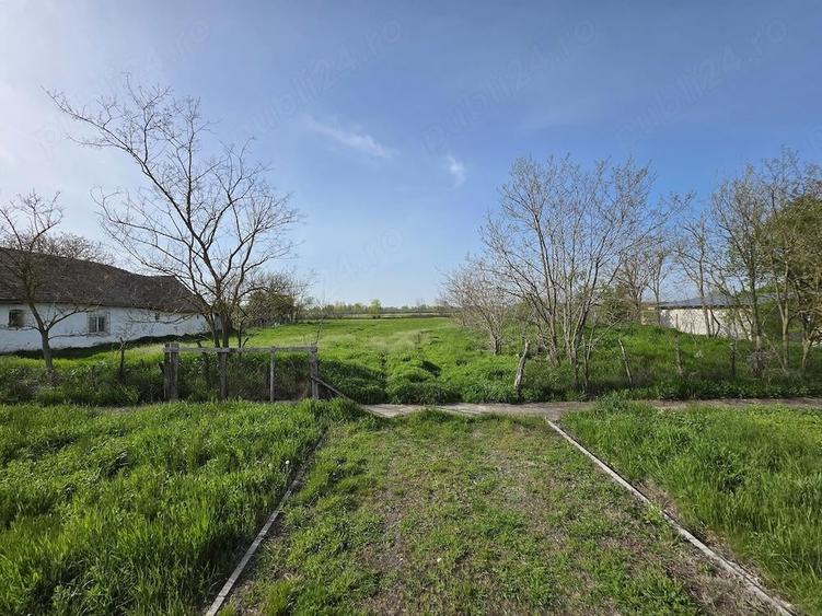 Teren de 5528 mp, în Sânmartinu Maghiar