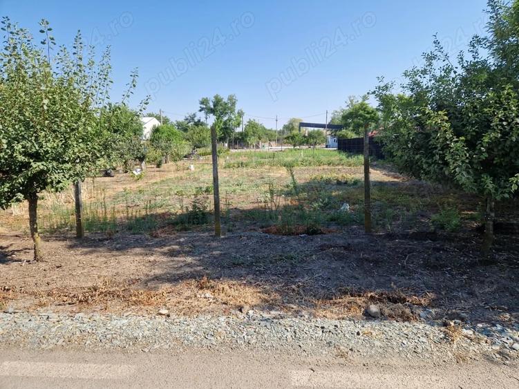 Teren de 1120 mp, în Drajna Nouă