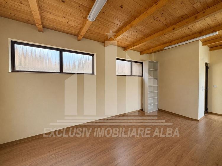 Birou, de 20 mp, în Cetate