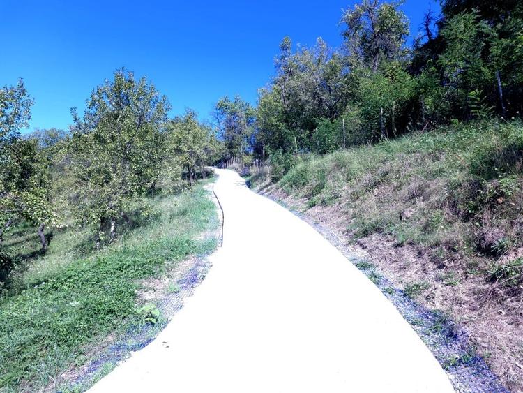 Casă individuală cu 6 camere cu Teren 3000 Mp în Runcu