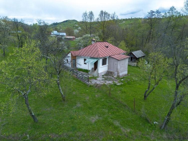 Casă cu 2 camere în Berislăvești