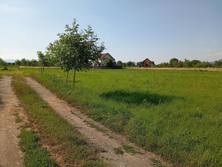 Teren agricol extravilan de 5000 mp, în Bod