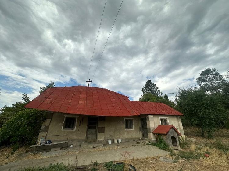Teren Construcții intravilan de 2645 mp, în Ștefănești