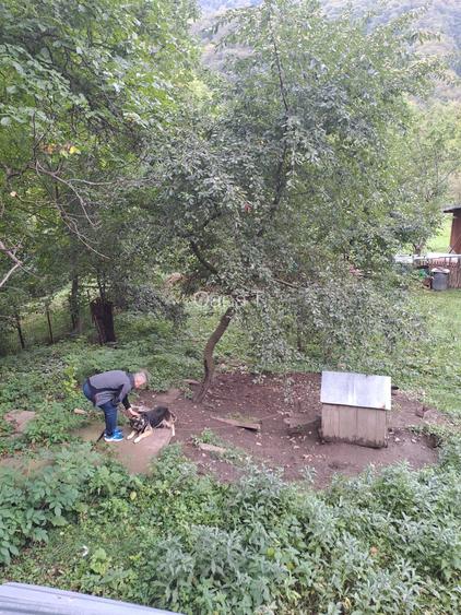 Casa si teren de vanzare