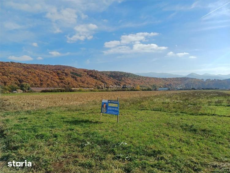 Teren de 10000 mp, în Tălmaciu