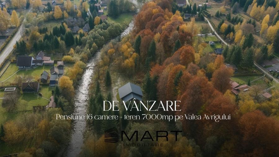 Casă cu 17 camere cu Teren 7000 Mp în Central