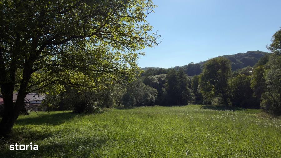 Teren Parau | Valea Danului, Curtea de Arges | Vidraru | - 7