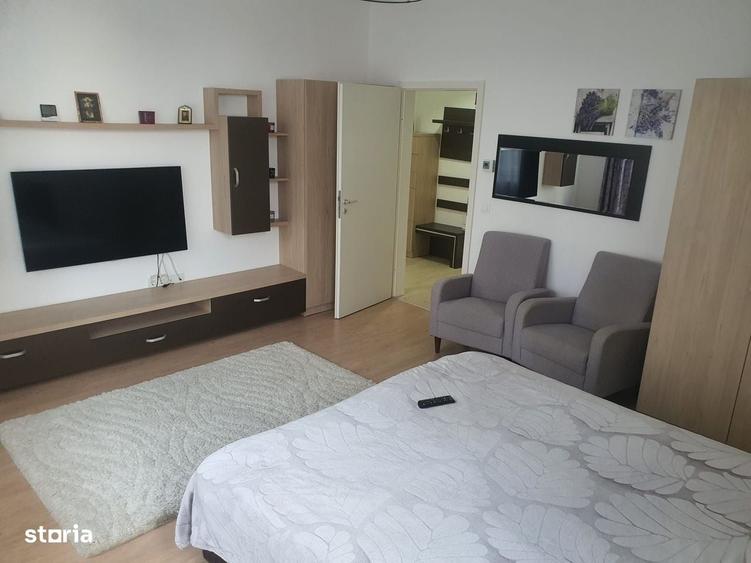 Apartament o camera cu bucatarie separata - Doamna Stanca - 4