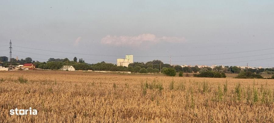Teren 5000 mp Rovine 2(Troaca) - 5