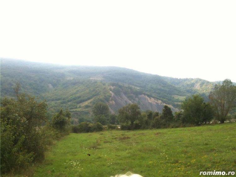 Vand teren intravilan 1,4 ha, Mehadia, Caras-Severin - 6