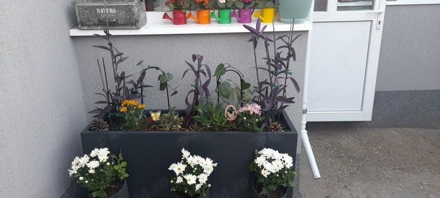 Casă cu 2 camere cu Teren 40 Mp în Pantelimon