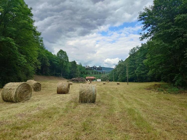 Teren de 5800 mp, în Podele