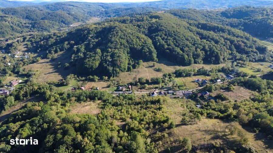 Teren de 9371 mp, în Mărgineni
