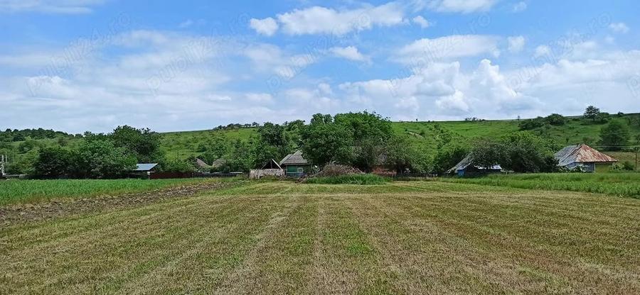 Casă cu 1 camere cu Teren 6517 Mp în Negrești