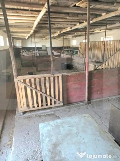 Casă cu 4 camere cu Teren 5500 Mp în Central