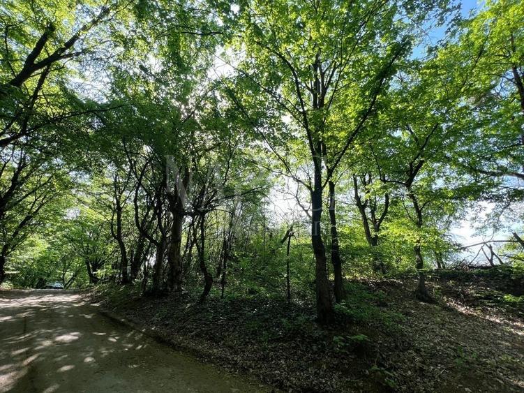 Teren Construcții intravilan de 420 mp, în Grigorescu