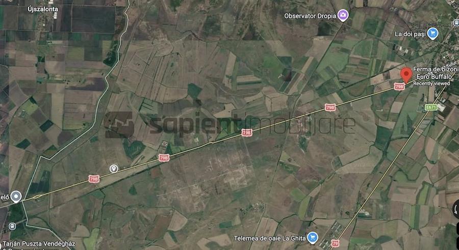 Teren de 11600 mp, în Sud