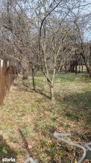 2 CORPURI DE CASA SI 3800 MP TEREN IN BREAZA Prahova - 4