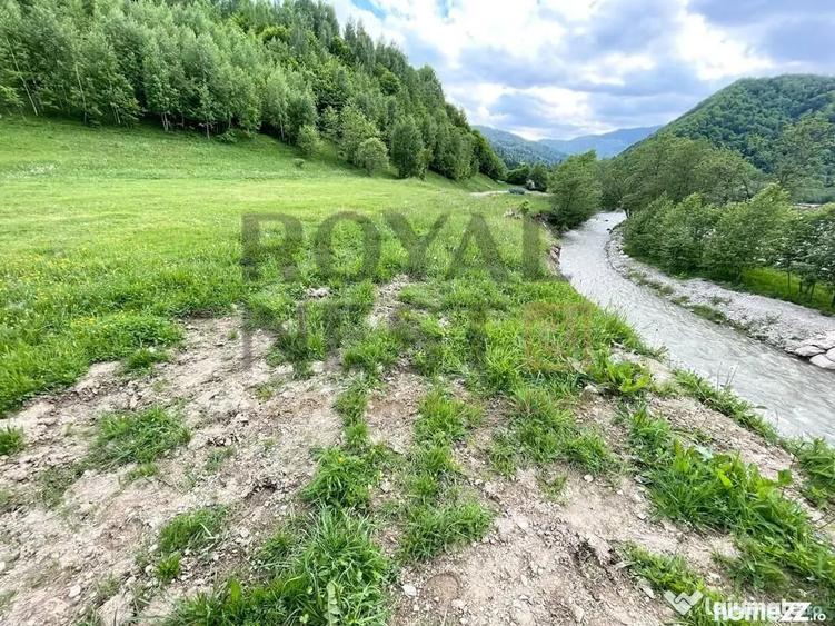 Teren de 12150 mp, în Plaiul Foii