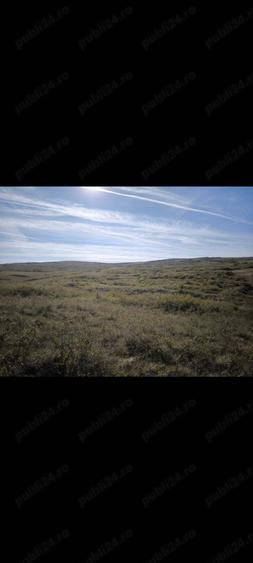 Teren agricol 25.400 m.p. Craciunelu de Jos | Blaj | un singur lot - 2