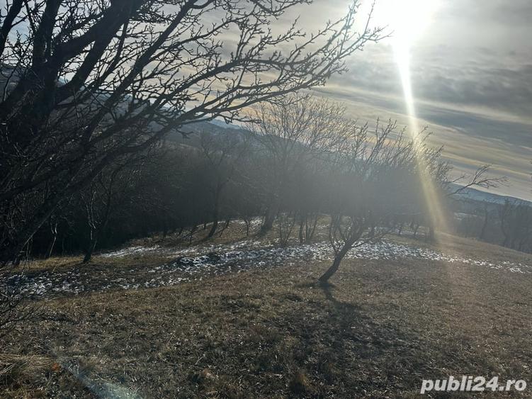 Teren de 8040 mp, în Mățău