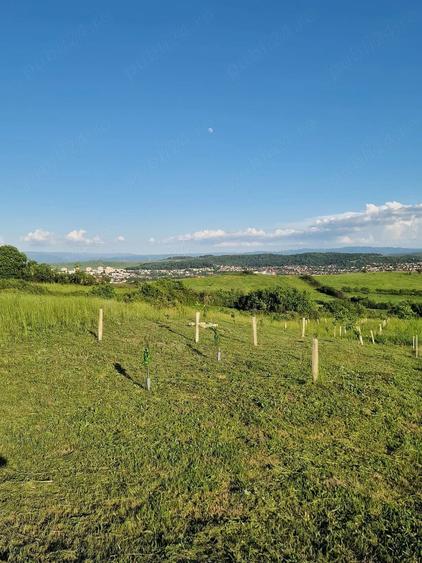 Teren de 1500 mp, în Central