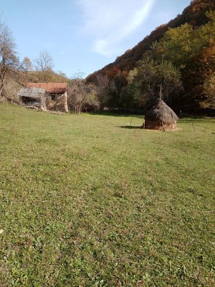 Casă cu 2 camere în Valea