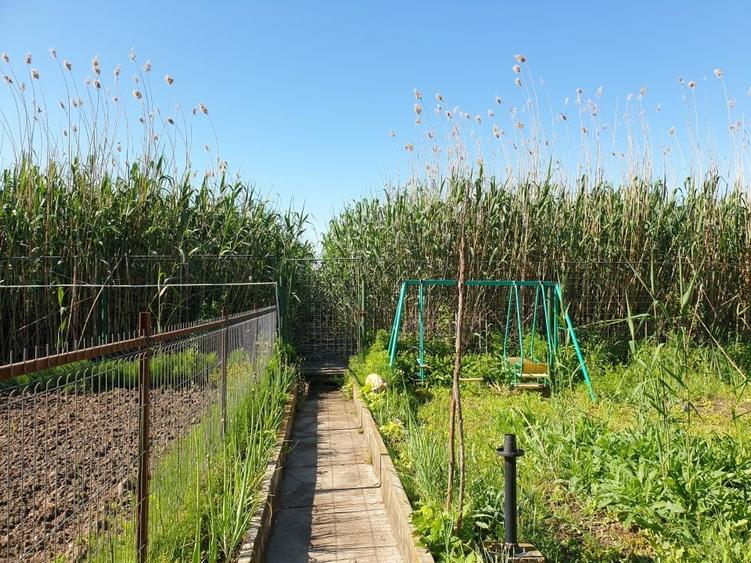 Casă individuală cu 6 camere cu Teren 1800 Mp în Snagov