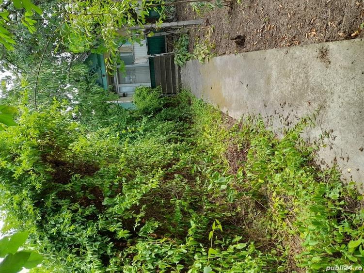 Teren de 3700 mp, în Ciurești