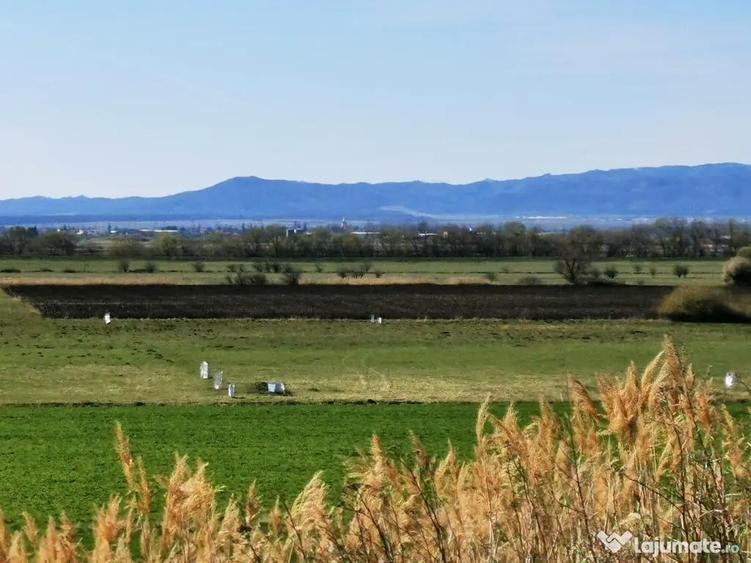 Teren de 7000 mp, în Bod