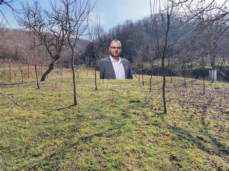 Teren de 1800 mp, în Ciclova Română
